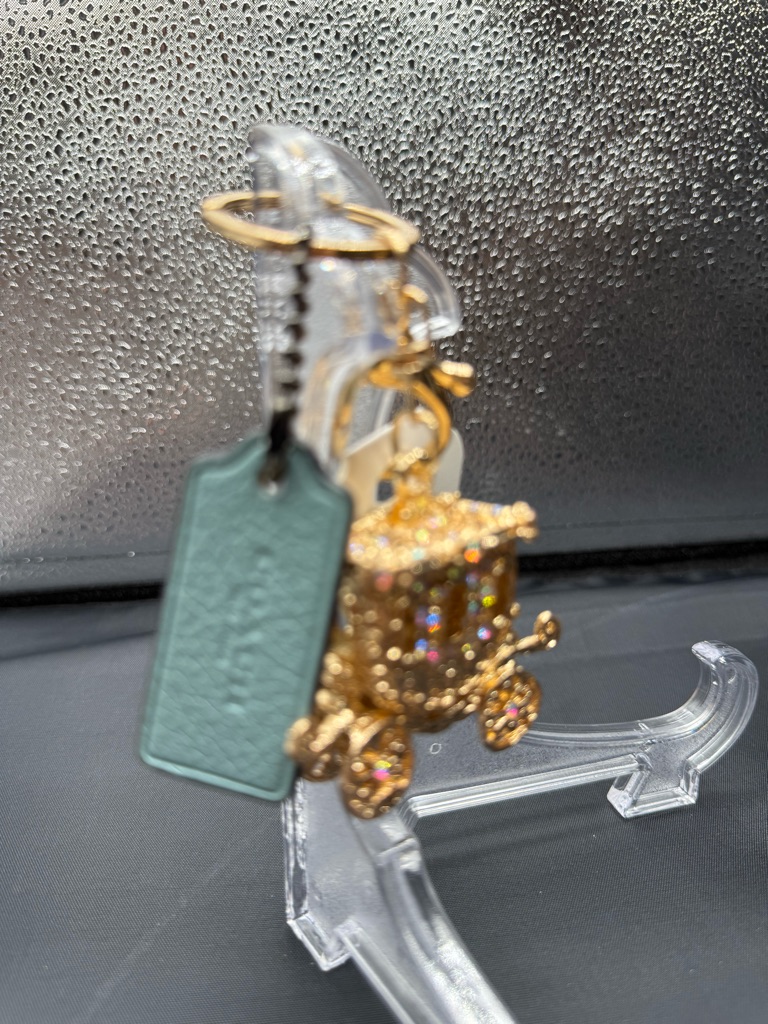 Coach Authentic Hang Tag With Unbranded Keychain